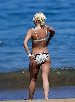 Elisha Cuthbert Bikini Photo